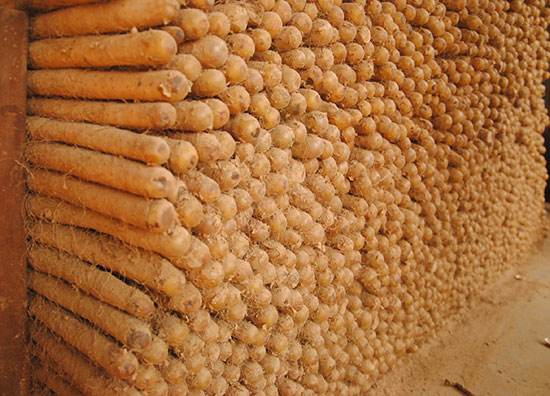 河北保定高阳县旅游景点及美食特产