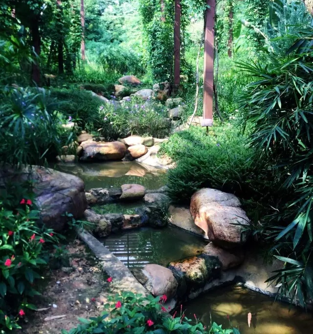 我心素已闲,清川澹如此.漾漾泛菱荇,澄澄映葭苇.