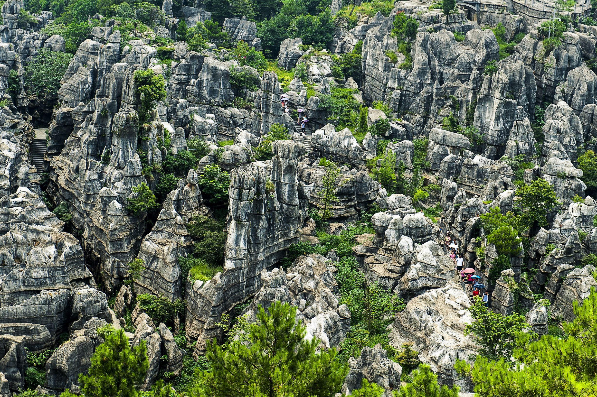 重庆万盛黑山谷旅游攻略_重庆万盛黑山谷门票多少钱
