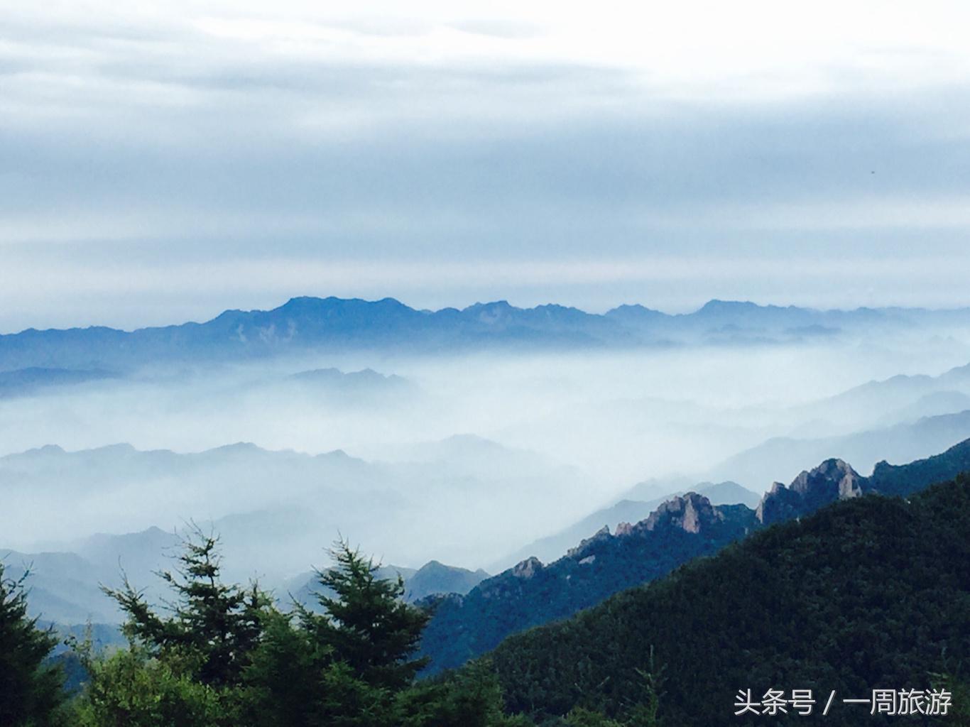 雾灵山位置密云和河北的交界处,是国家级自然保护区之一,主峰海拔两千