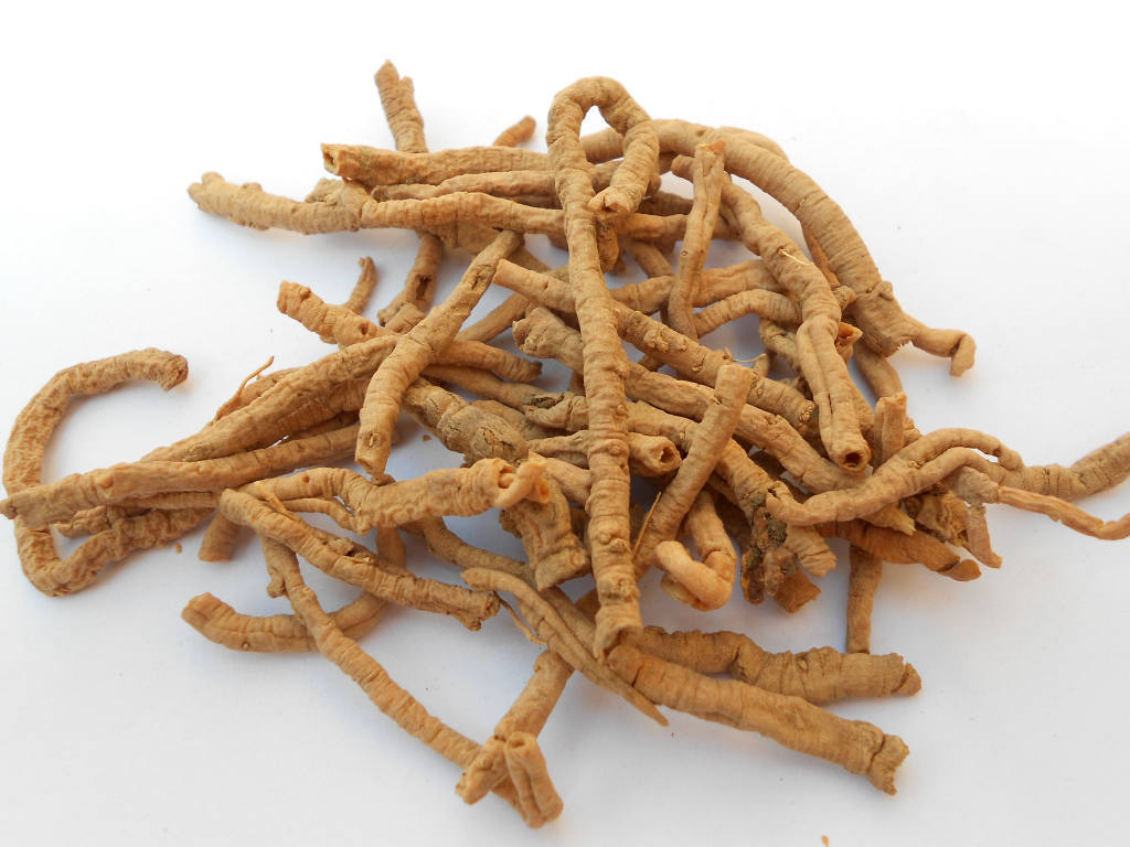 原创诗歌:中草药 远志