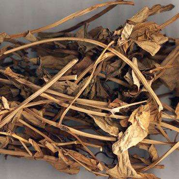 每天口服1mg马兜铃酸a会致癌_36种含马兜铃酸中药 - 云林新闻励志网