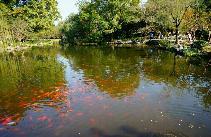 杭州花港观鱼平面图_西湖十景花港观鱼及介绍 - 成语词句网