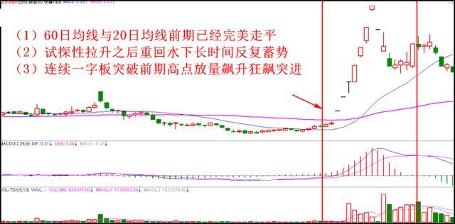 短线奇女手把手教你最强炒股技巧 看懂轻松高抛低吸