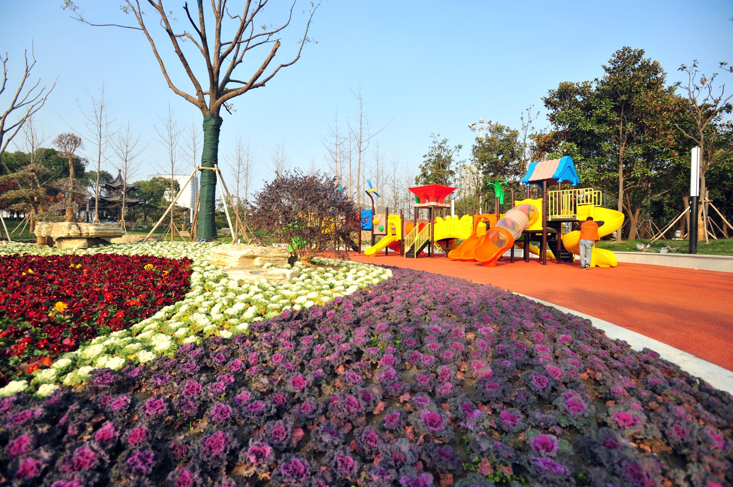 扬州明月湖公园出新,美图来袭!