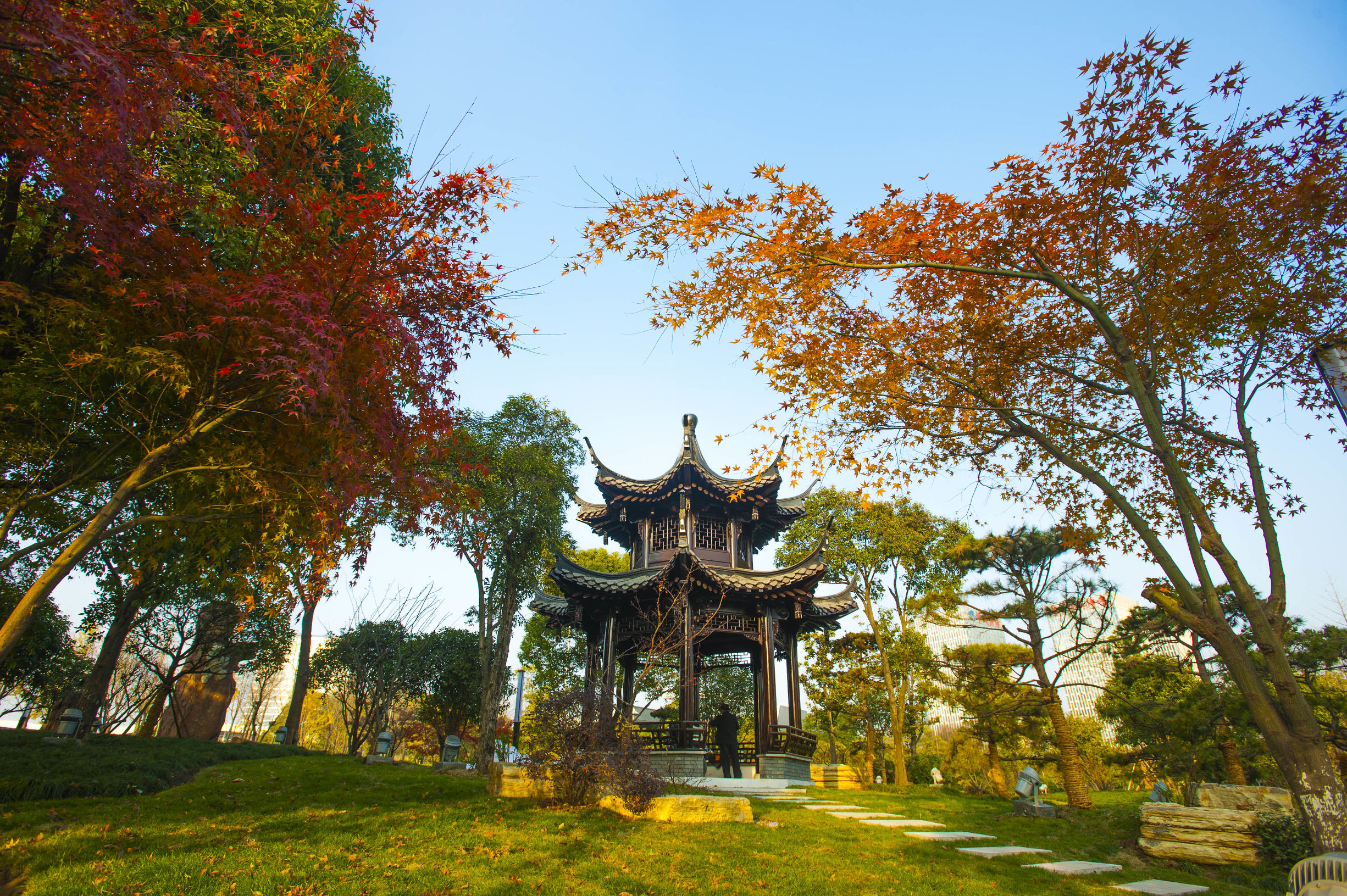 扬州明月湖公园出新,美图来袭!