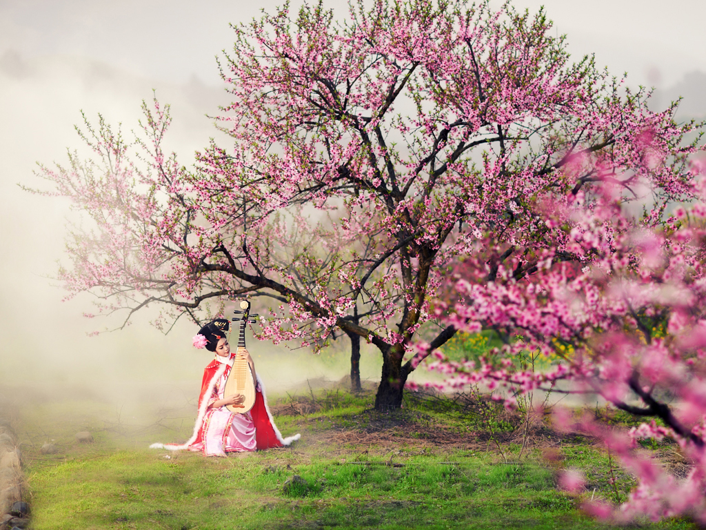 琵琶分类:五弦琵琶,四弦琵琶,南音琵琶,响琶,月琶