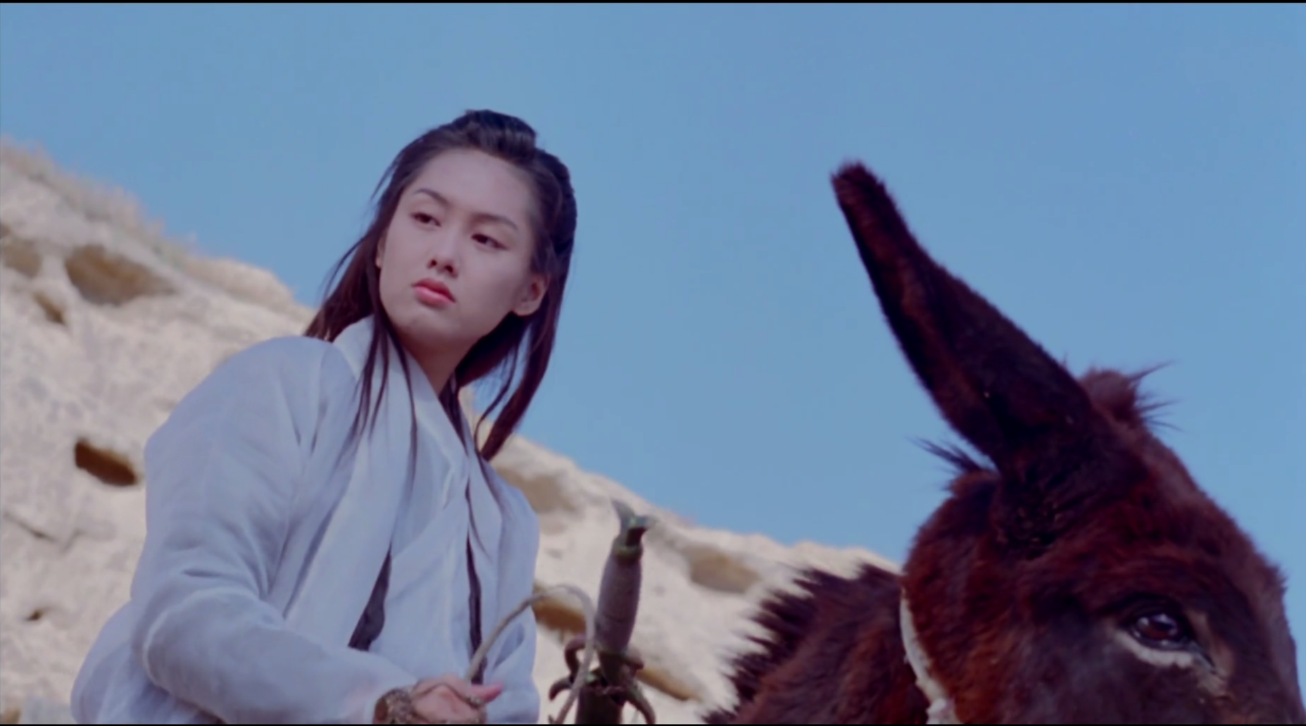 这首词的作者是谁?