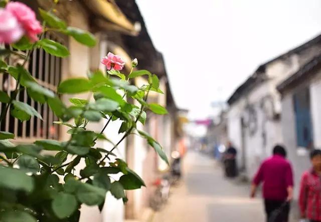 最扬州的玩法，是到古巷老街里看尽这座城市的市井生活