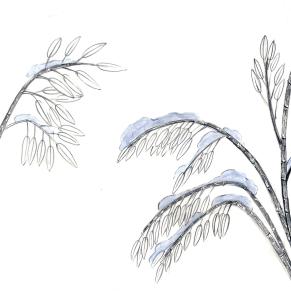 小雅采薇从题材上看是什么诗诗经小雅采薇的艺术特点