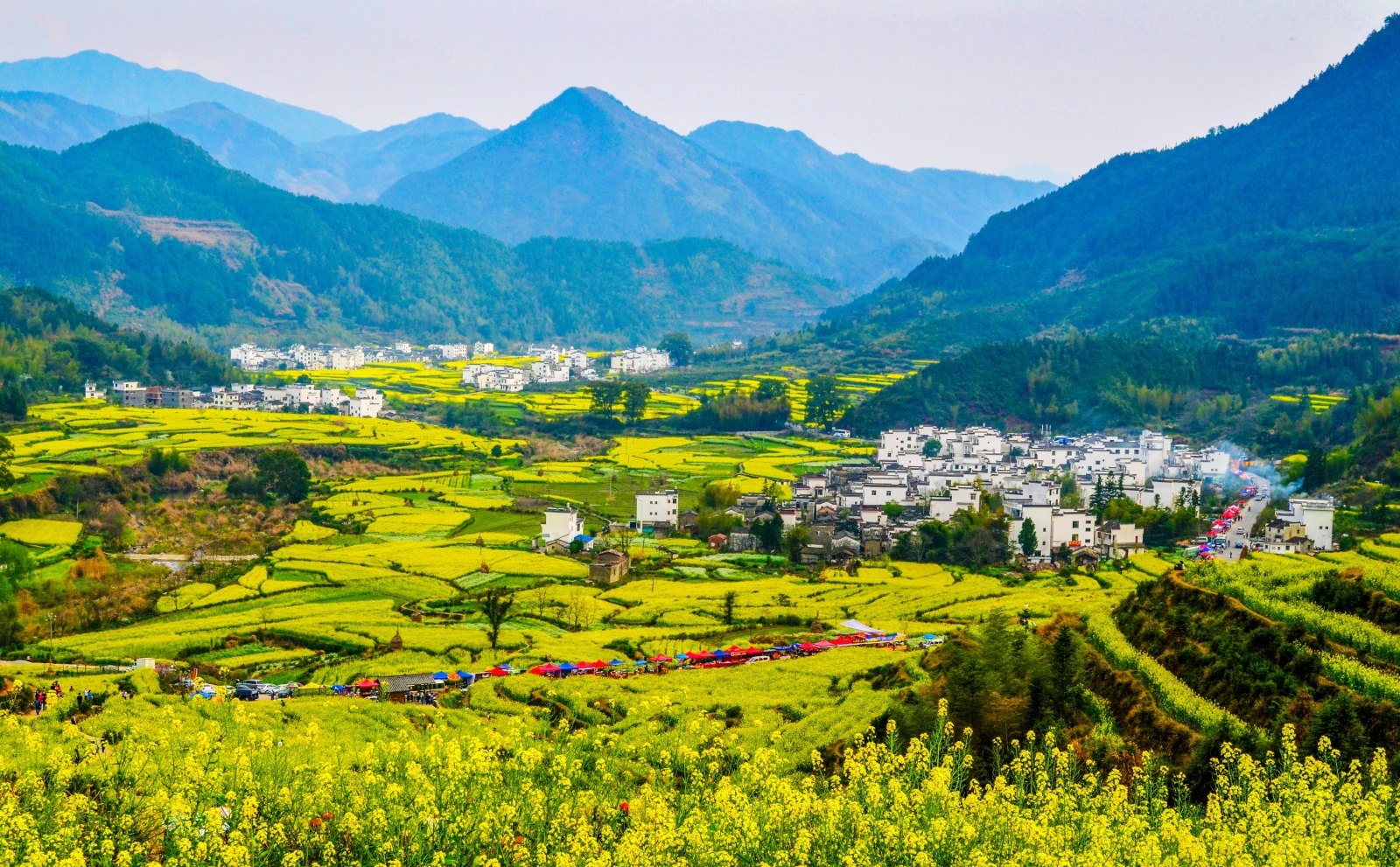 世界旅游小姐也走进了江西婺源,被誉"中国最美的乡村"