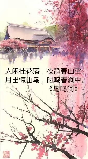 最近一直想着王维的那句“人闲桂花落，夜静春山空”，那么你呢？