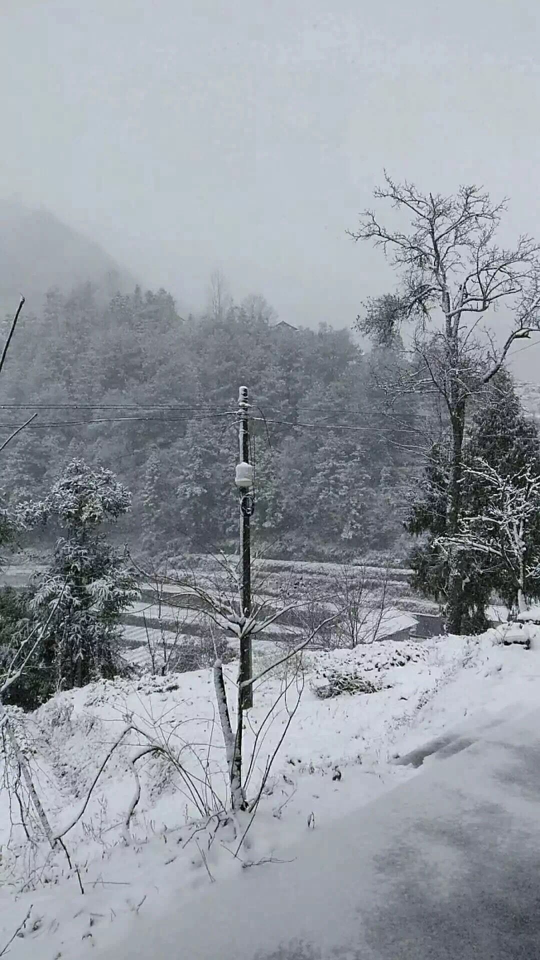 利川雪景图片