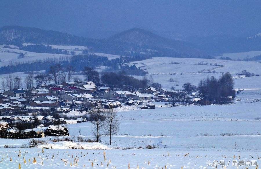 大雪纷纷落下诗句大雪时节雪纷飞诗句