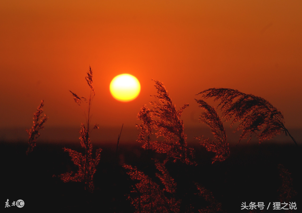 人生如梦，岁月无情