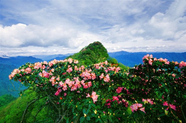 巴中4a景区名单_四川省巴中市旅游景点有哪些 - 密云旅游