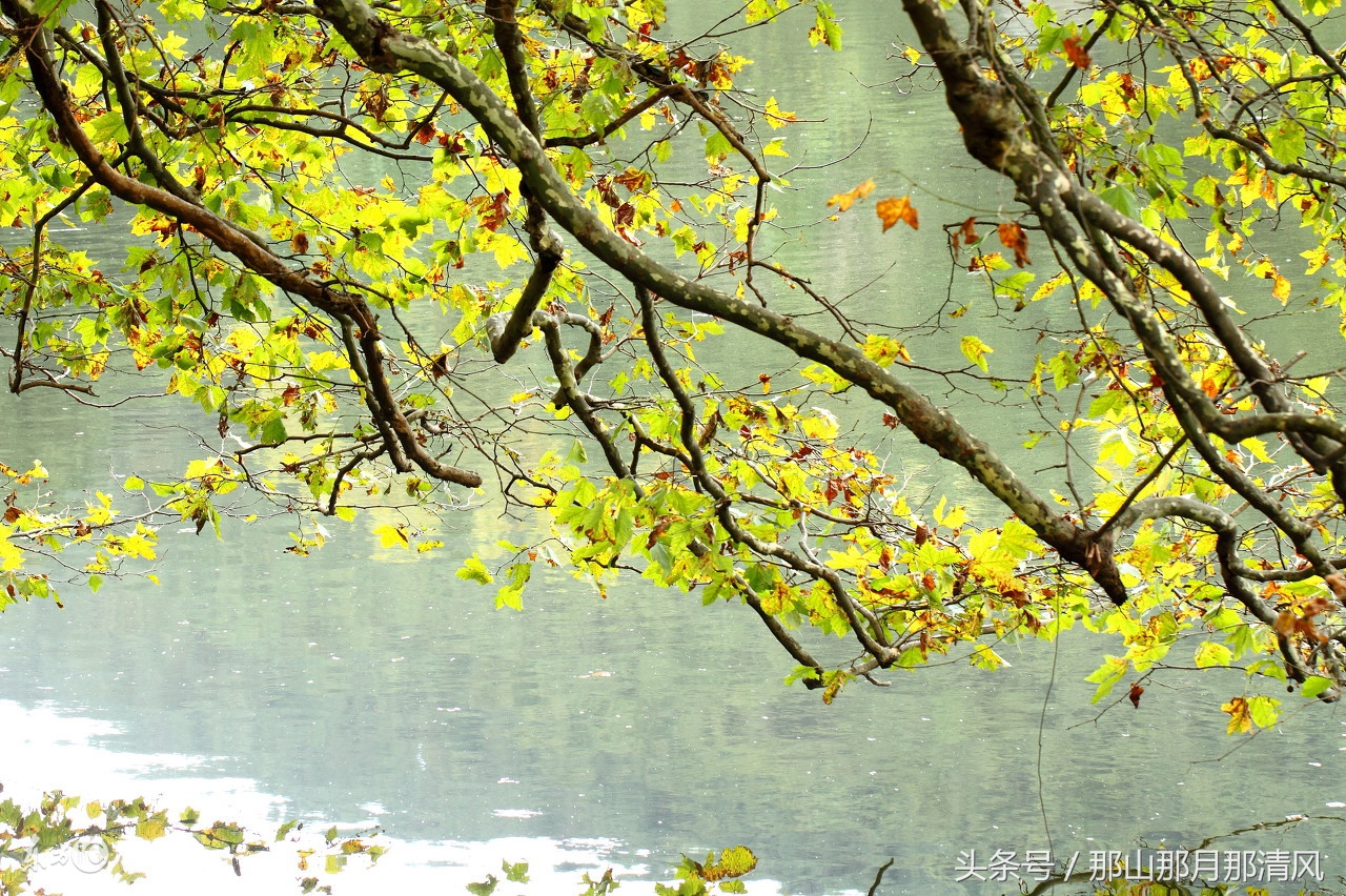 贾岛：秋风生渭水，落叶满长安