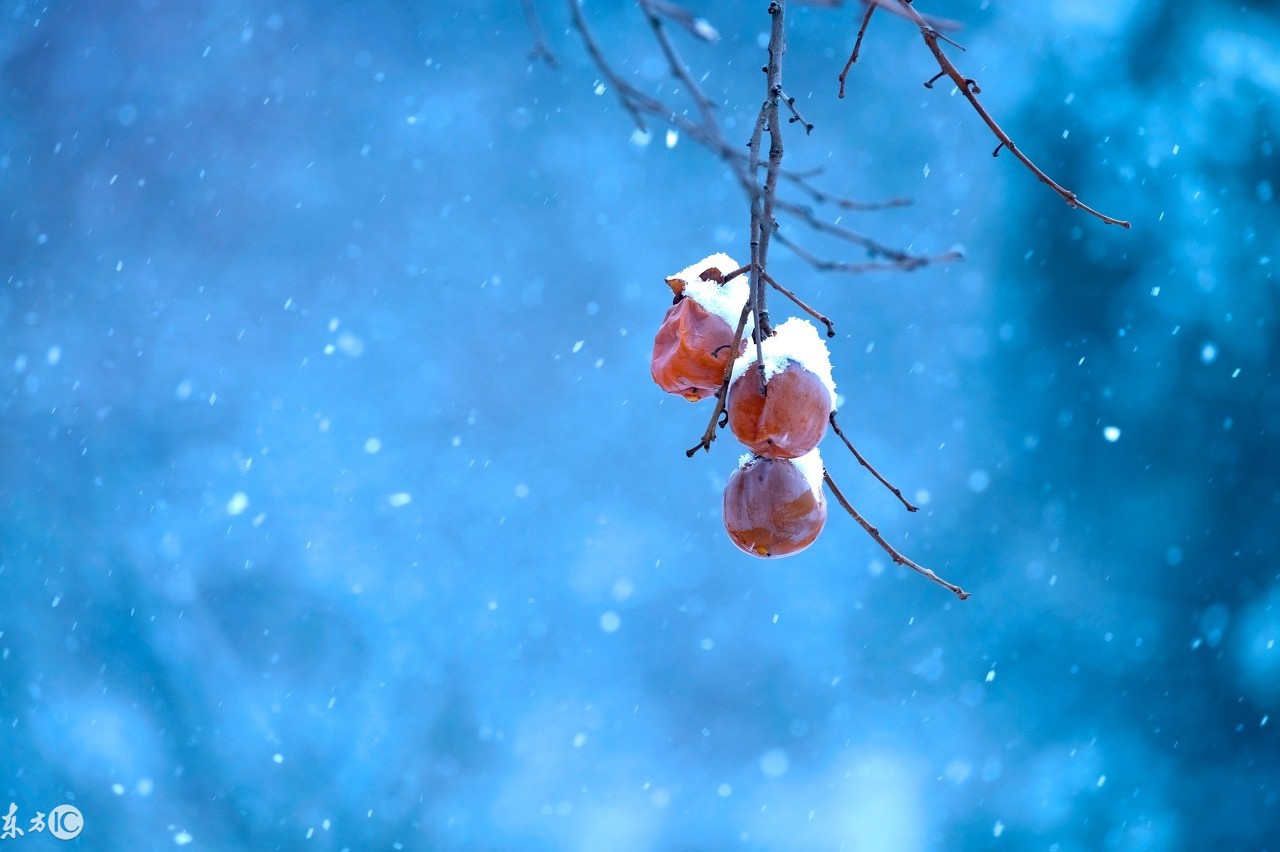 16首中国古典吟雪诗，让你赏雪有诗情，生活有诗意！