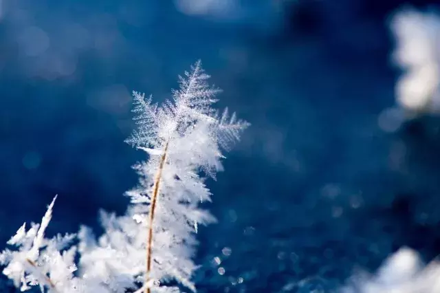 写尽雪之美的诗词，却不带一个雪字