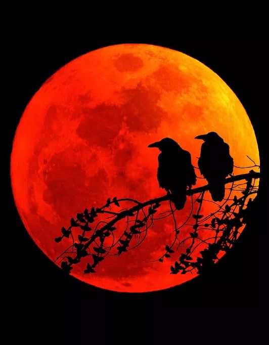 「诗词鉴赏」百年奇遇 赏最美红月亮 读唯美月亮诗