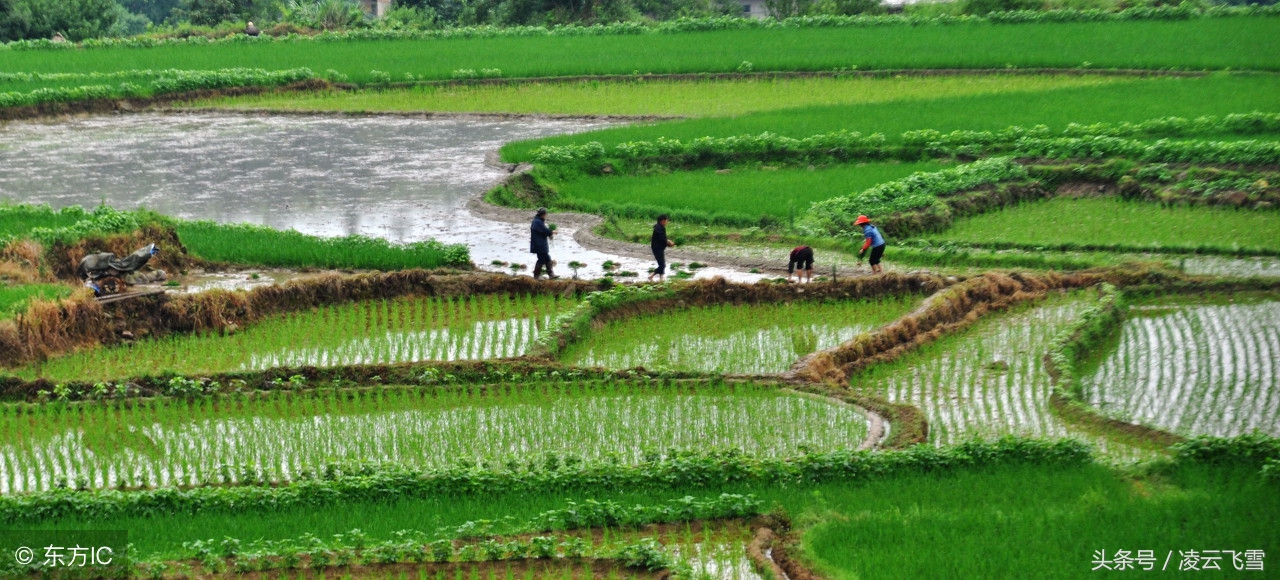 意境优美的田园诗著名的田园诗