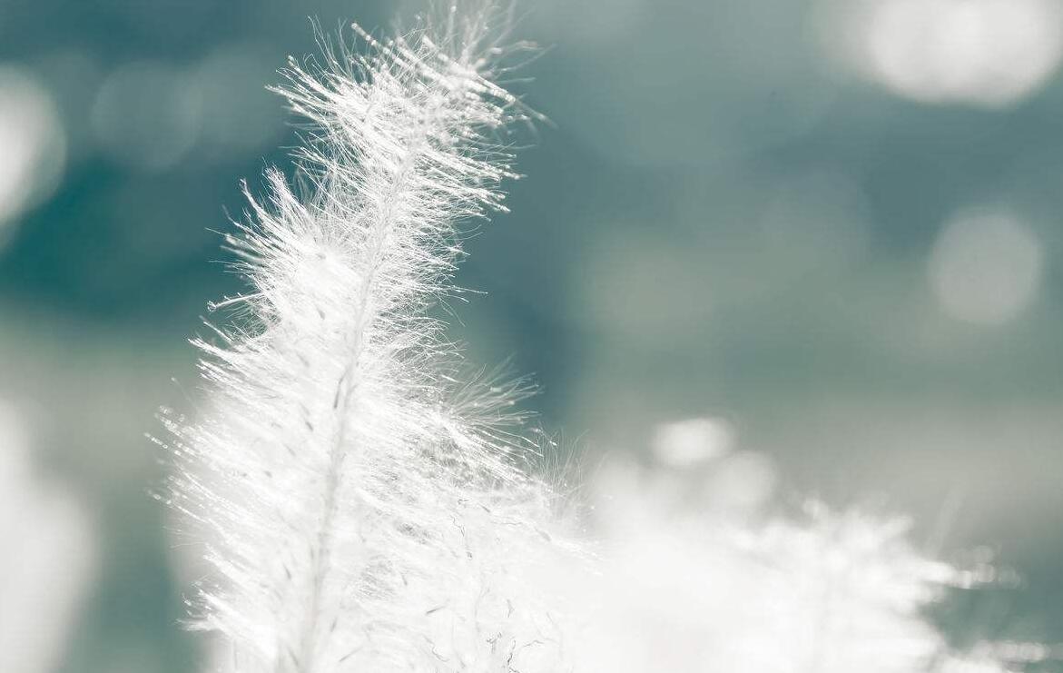 怀念过去的现代诗_回忆往事的现代诗歌 - 齐齐哈尔诗词网