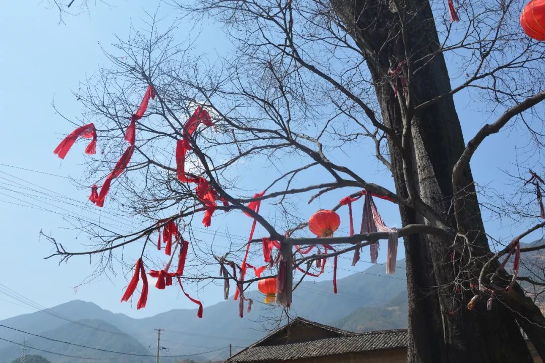 这个集市一年一期，让你淘宝淘到手软！