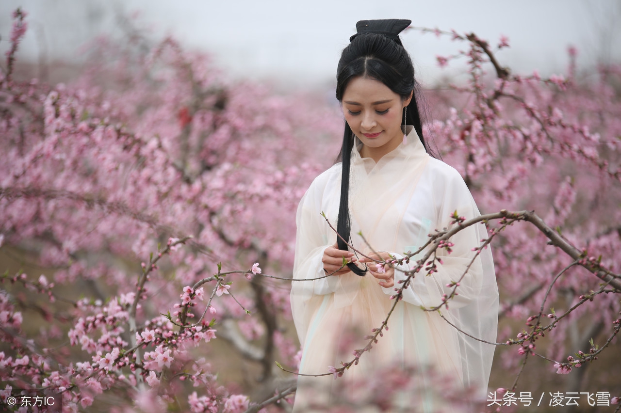 桃花诗唐伯虎赏析唐伯虎诗词桃花庵赏析