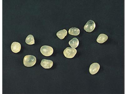 佛舍利子的由来!中国有多少?