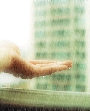 300_370gif 动态图 动图