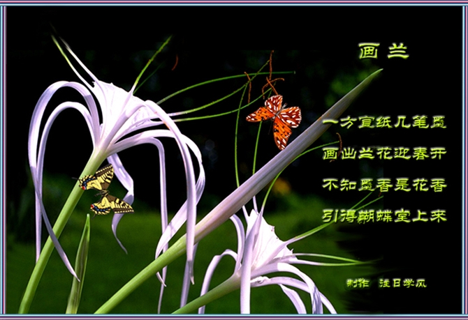 兰花诗句经典名句幽谷出幽兰形容兰花幽香的诗句