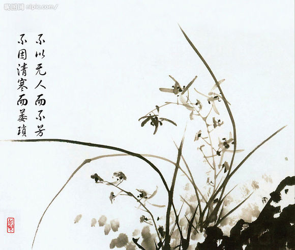 兰花诗句经典名句幽谷出幽兰形容兰花幽香的诗句