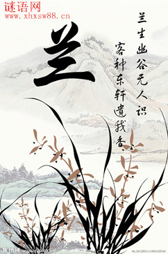 兰花诗句经典名句幽谷出幽兰形容兰花幽香的诗句