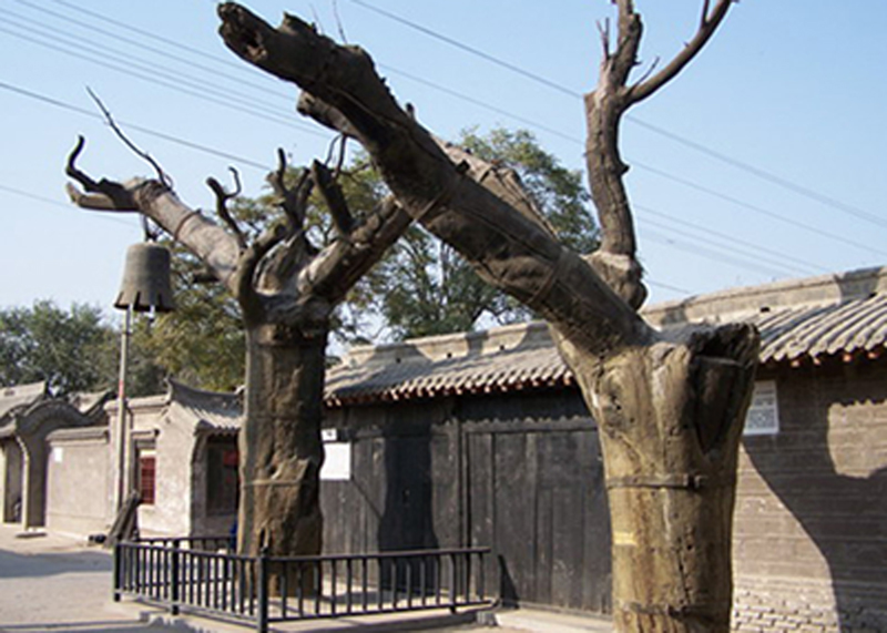 清凉城遗址樊舆故城东臧村仰韶文化遗址国公营观音禅寺彭越墓宋三陵壁