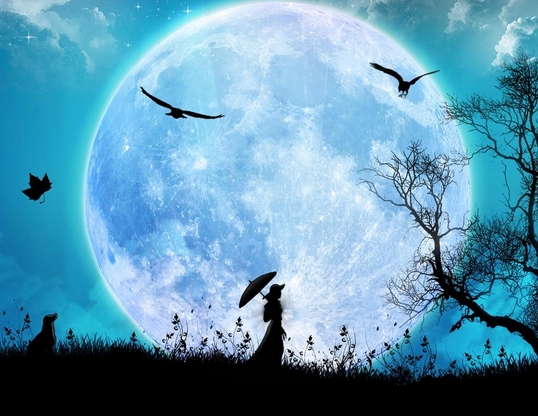 明月几时有?把酒问青天