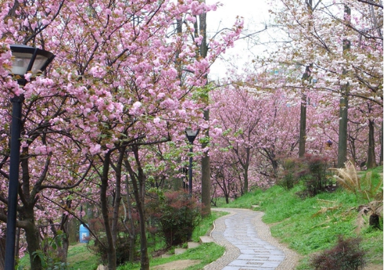 中山市三鄉鎮泉林山莊門票多少錢_中山泉林山莊遊玩攻略 - 密雲旅遊