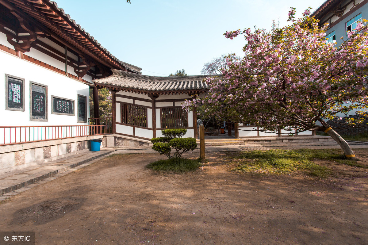 国内旅游：西安“青龙寺”——历史悠久的文化景区