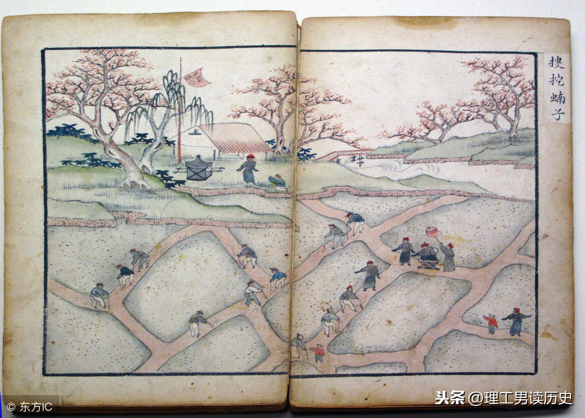 唐朝蝗灾不是中国古代历史上最严重的，但灭蝗方面开了一个好头