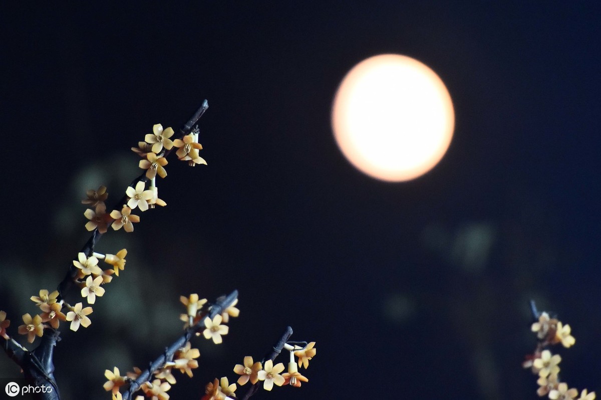 王建的《十五夜望月》,是咏叹中秋的上乘之作，值得您对月吟诵