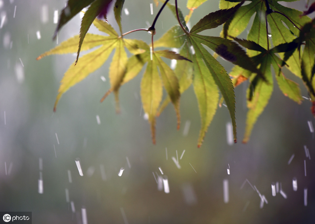 一场雨生出万般情，古诗词中的雨，清晰灵动，唯美至极