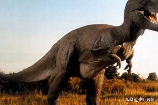 为什么恐龙出现那么早，没进化成“恐人”? 其实已有倾向