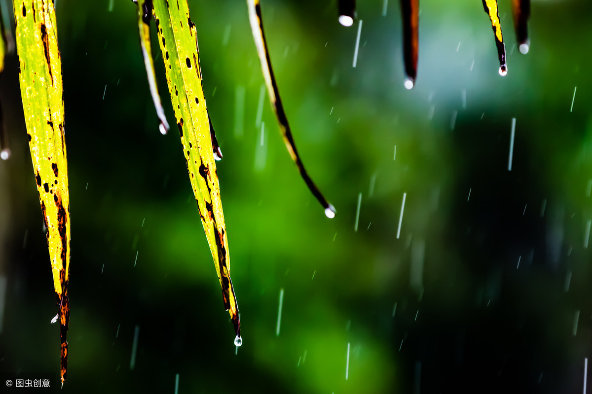 雨水节，描写春雨的那些诗，评论区写出你所会的
