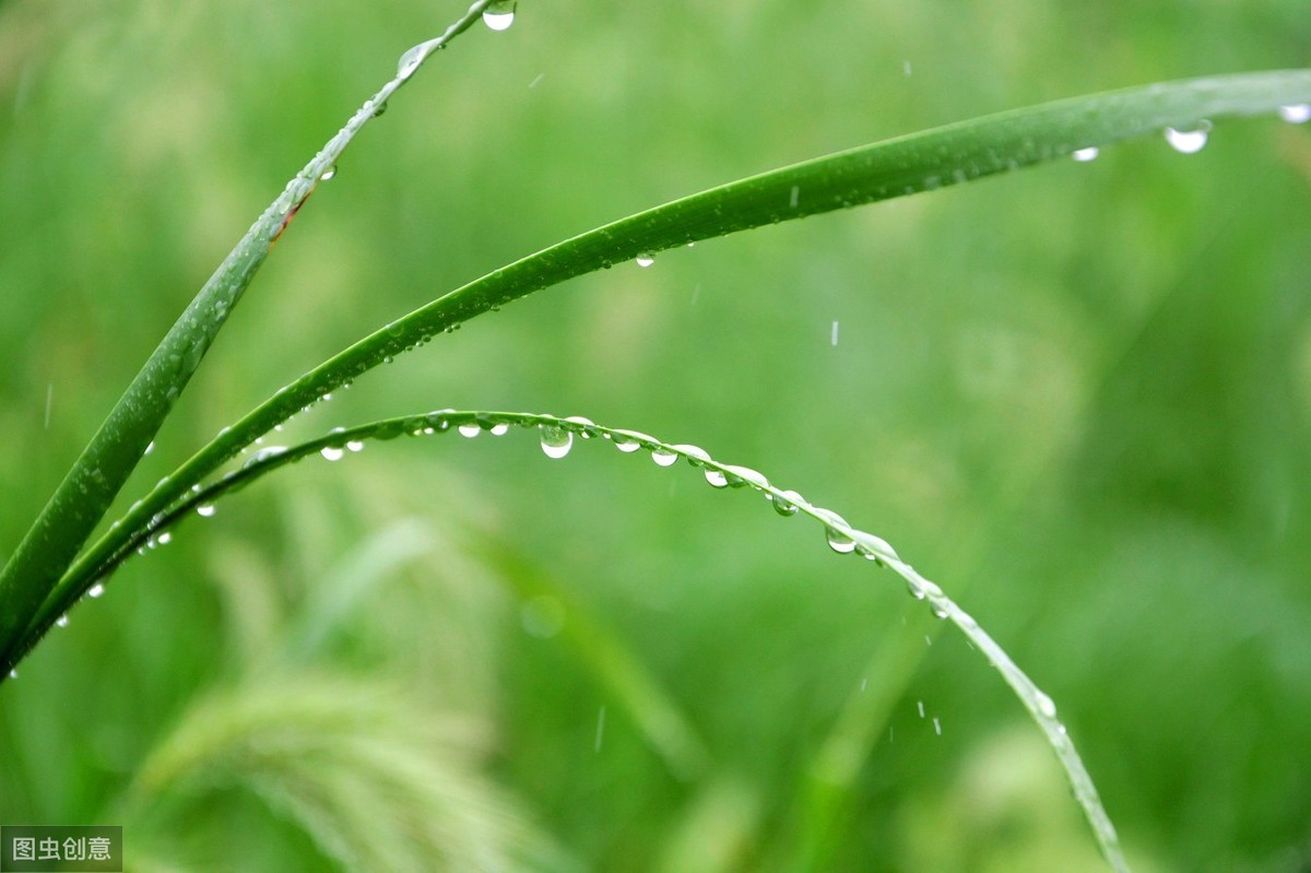 杜甫一首接地气的小诗，春雨如人善解人意：“润物细无声”