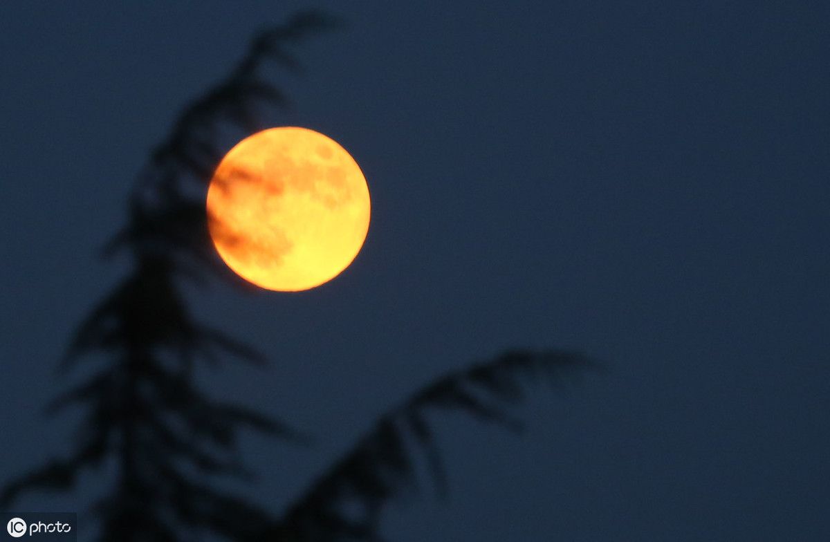 王建的《十五夜望月》,是咏叹中秋的上乘之作，值得您对月吟诵