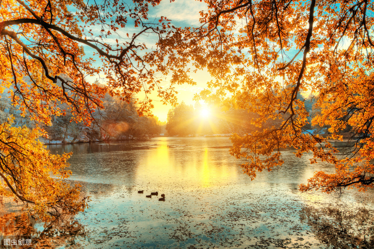 秋日之美，诗词之最｜描写秋天最美的15首诗词