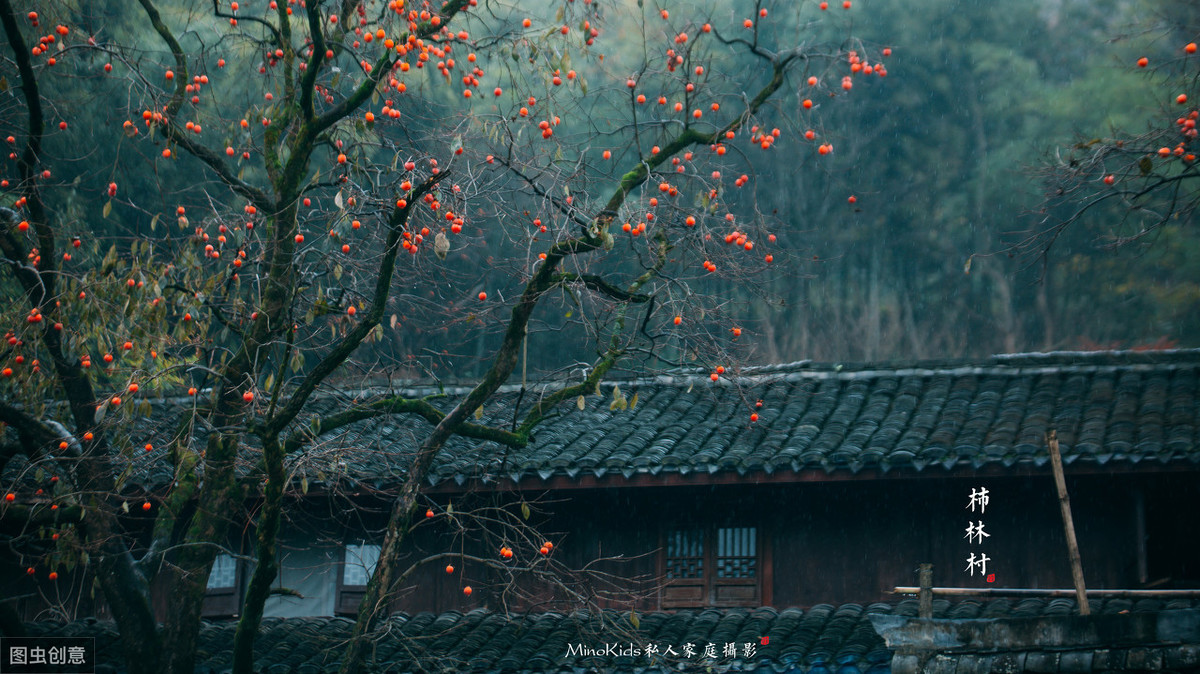 国内旅游：宁波“四明山”——中国第一红枫之乡