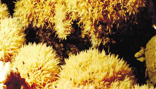 白马天尺坪茶山小镇世界自然遗产,水上喀斯特典型代表——芙蓉江