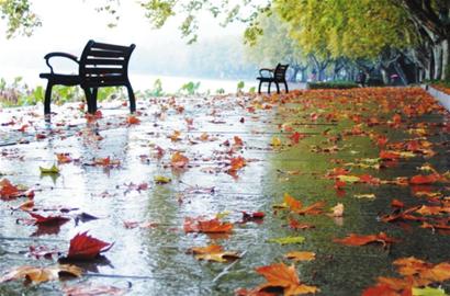 秋雨绵绵一场秋雨一场寒