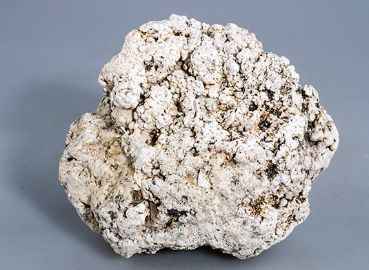 龙涎香的作用是什么?怎么用?