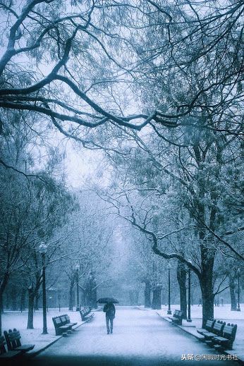 冬已至，雪已来，描写雪景的唯美古诗句，你还记得几句？